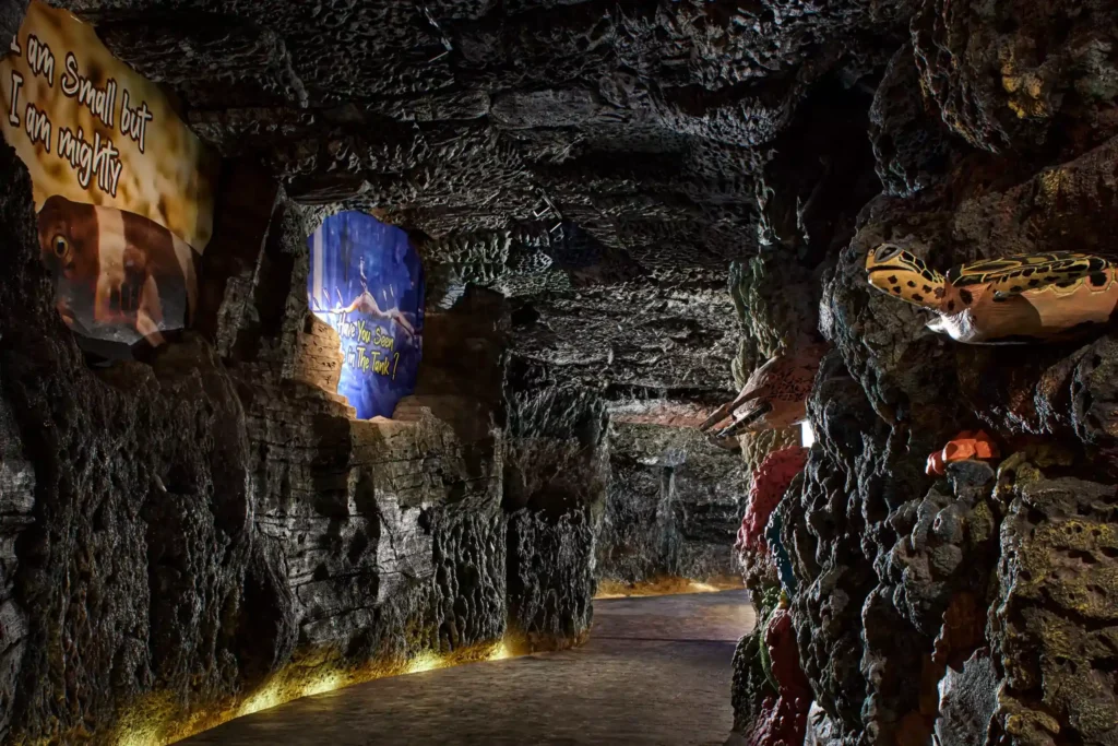 Enjoy the experience in safari marine park