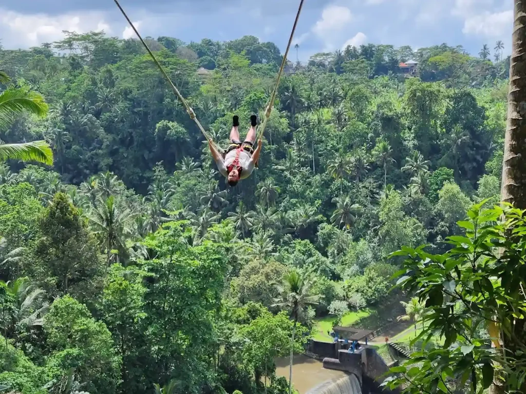 real bali swing