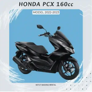 rent big motorbike honda pcx model 2022