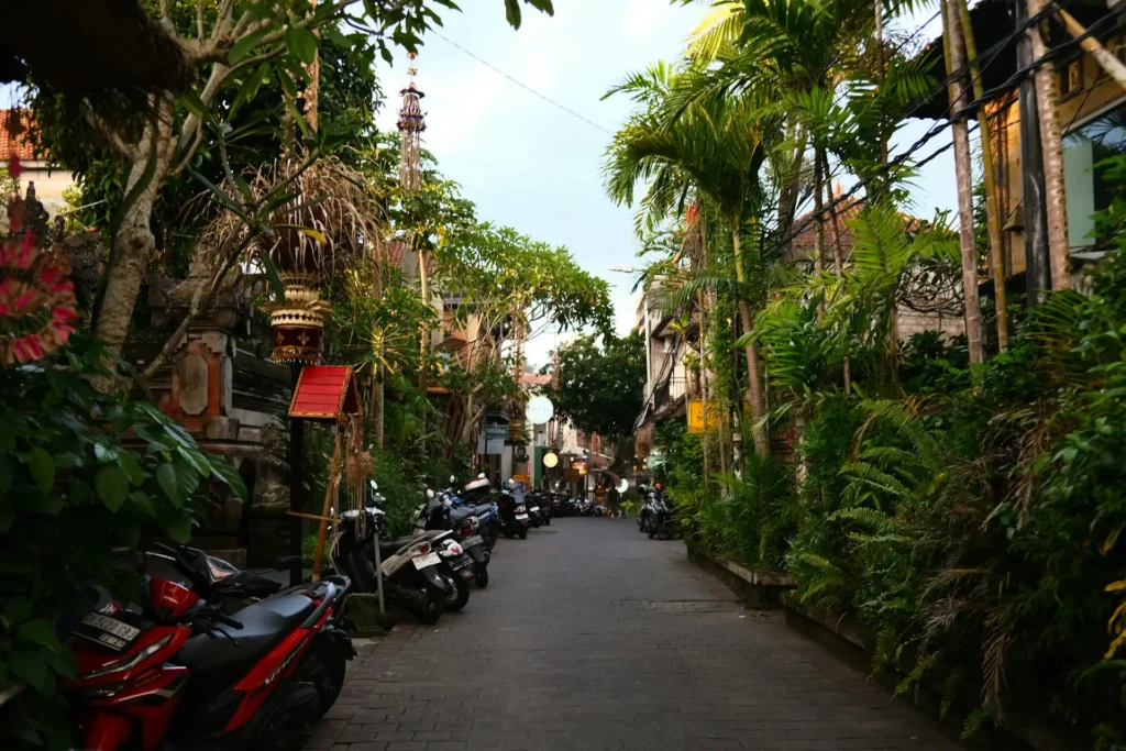 tips rent car in bali